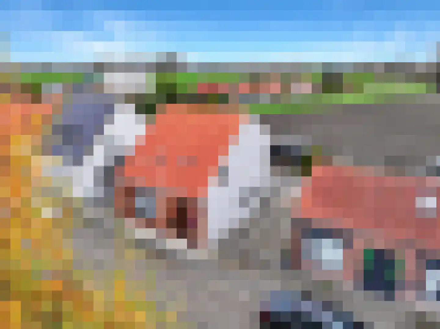 Smidsweg 5 Zuidzande
