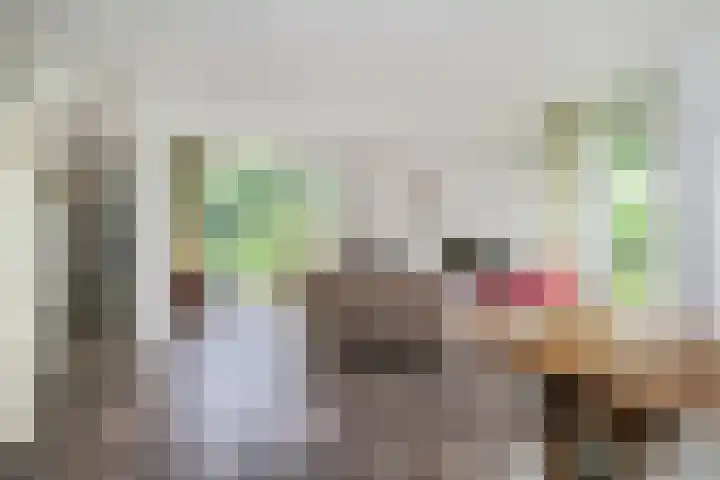 Smientmesschen 10 Assen thumbnail 10