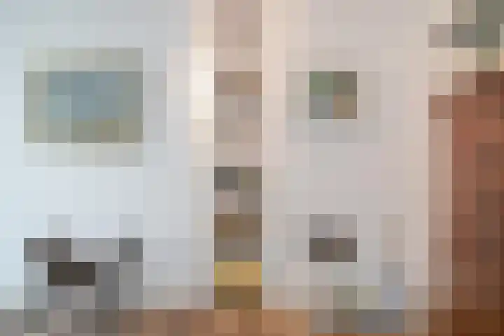 Smientmesschen 10 Assen thumbnail 13