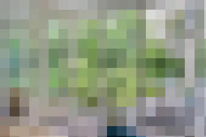 Smientmesschen 10 Assen thumbnail 17