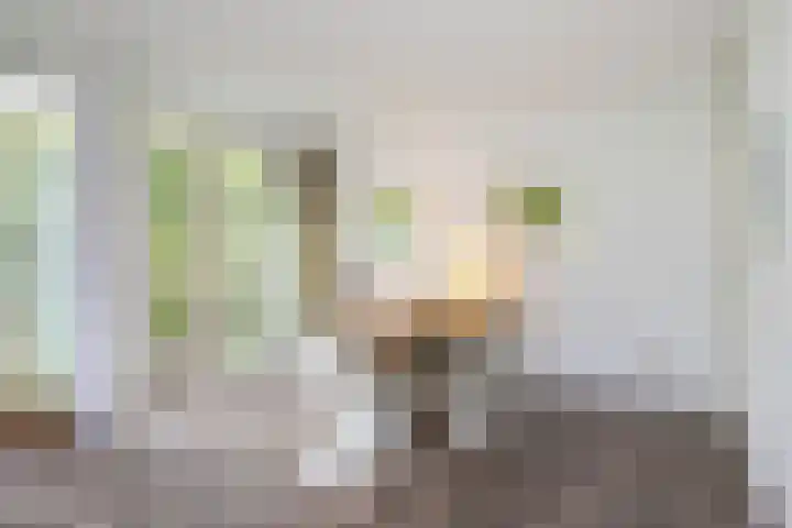 Smientmesschen 10 Assen thumbnail 18