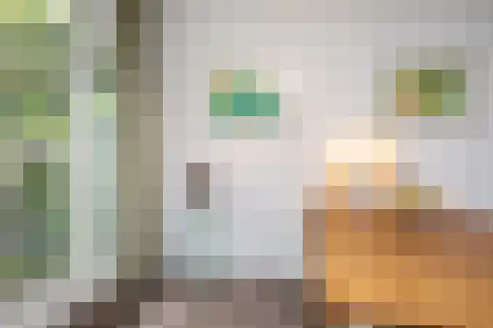 Smientmesschen 10 Assen thumbnail 19