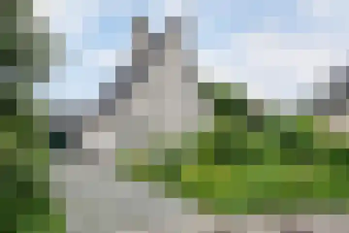 Smientmesschen 10 Assen foto 2