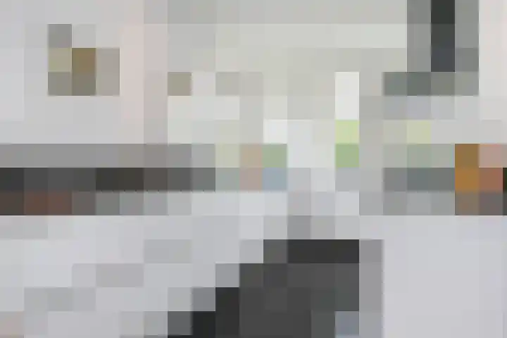 Smientmesschen 10 Assen thumbnail 20