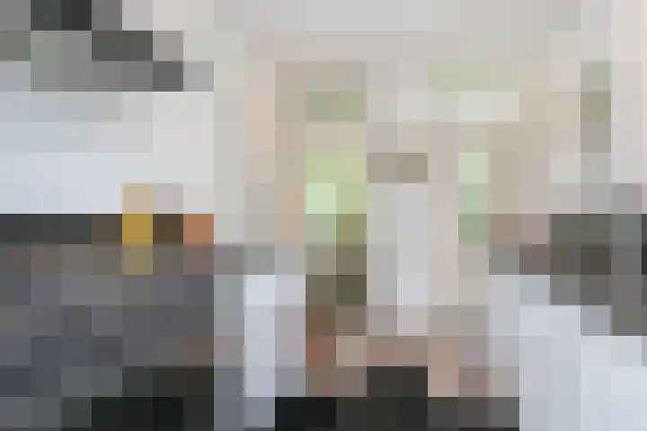 Smientmesschen 10 Assen thumbnail 23