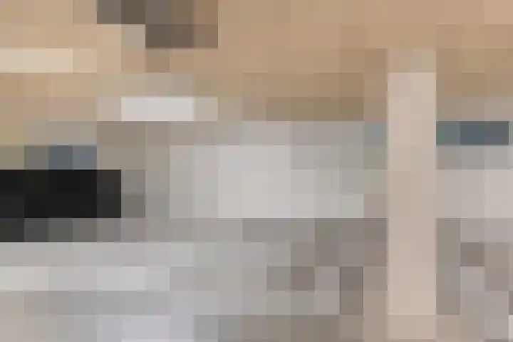 Smientmesschen 10 Assen thumbnail 24