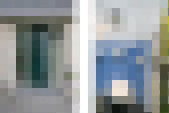 Smientmesschen 10 Assen thumbnail 24