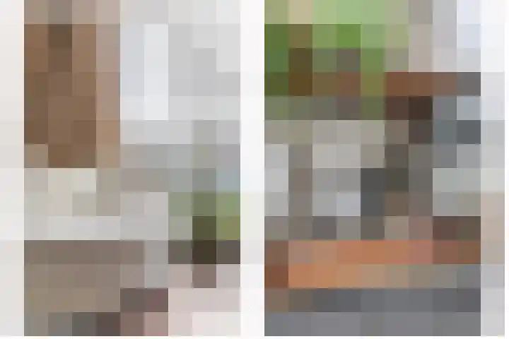 Smientmesschen 10 Assen thumbnail 26