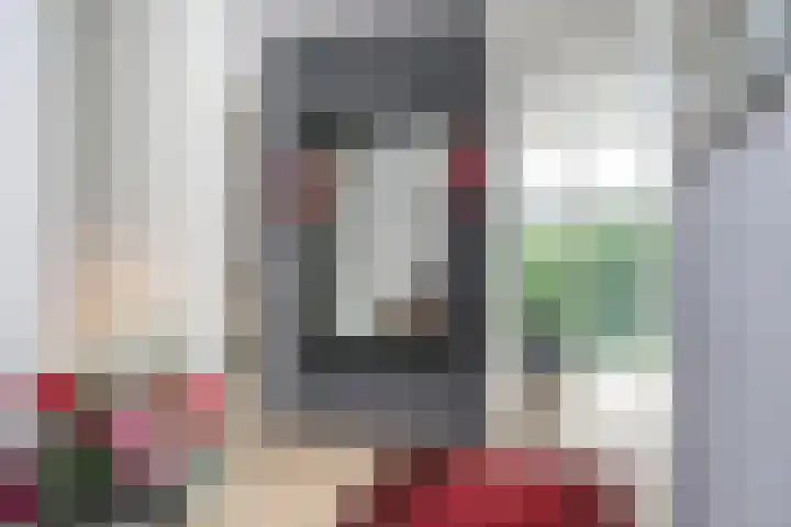 Smientmesschen 10 Assen thumbnail 27