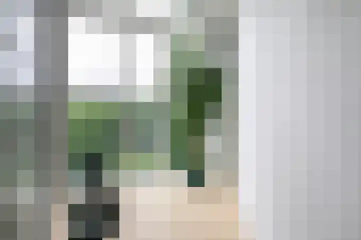 Smientmesschen 10 Assen thumbnail 28