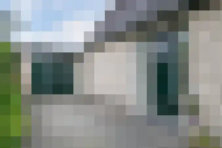 Smientmesschen 10 Assen foto 3