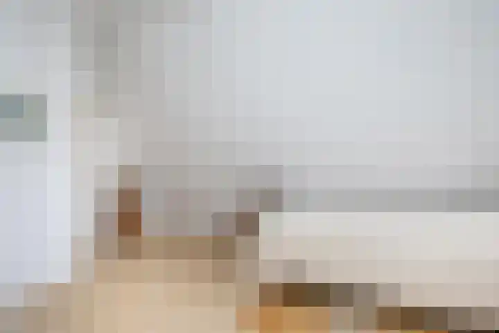 Smientmesschen 10 Assen thumbnail 31