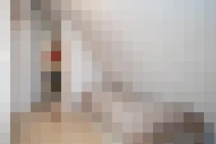 Smientmesschen 10 Assen thumbnail 32