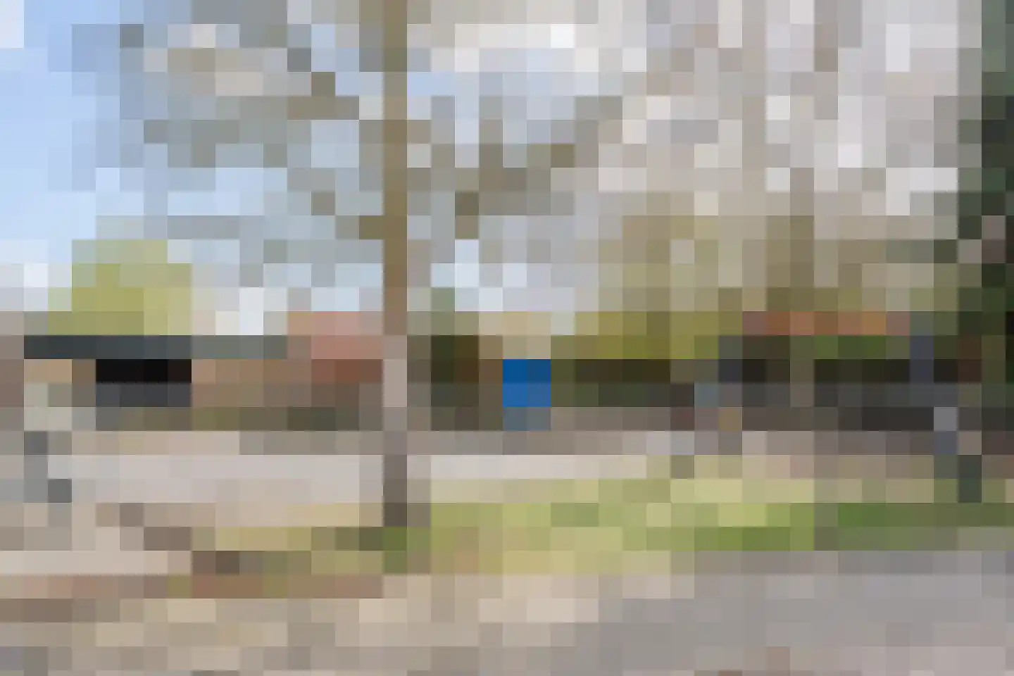 Smientmesschen 10 Assen thumbnail 33