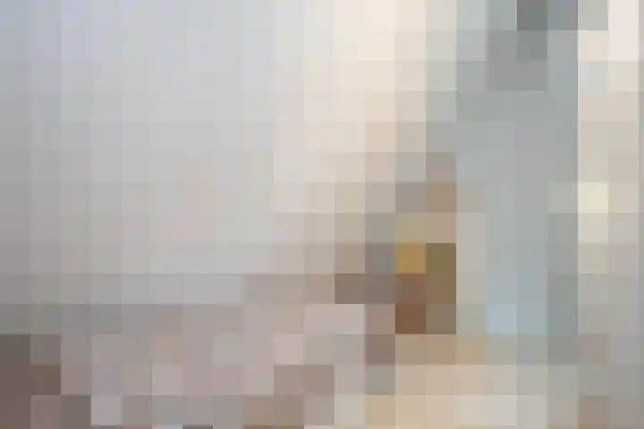 Smientmesschen 10 Assen thumbnail 33