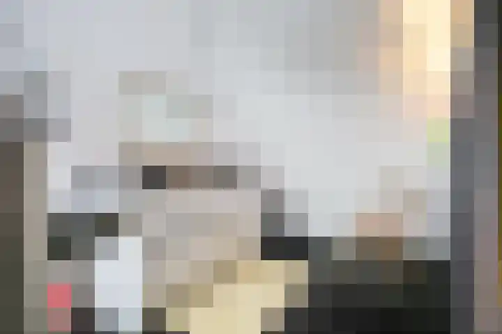 Smientmesschen 10 Assen thumbnail 35
