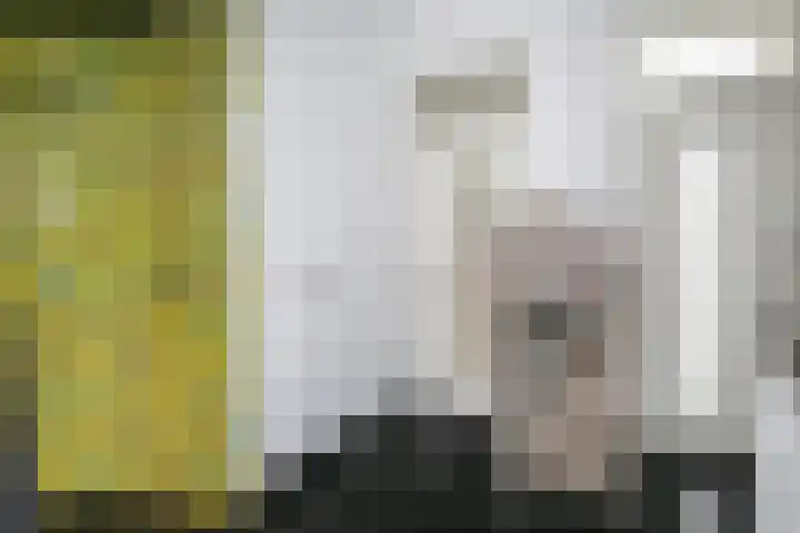 Smientmesschen 10 Assen thumbnail 36