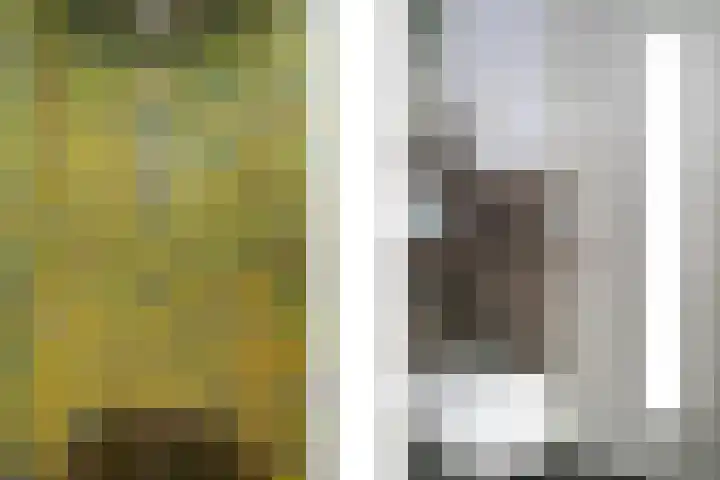 Smientmesschen 10 Assen thumbnail 37