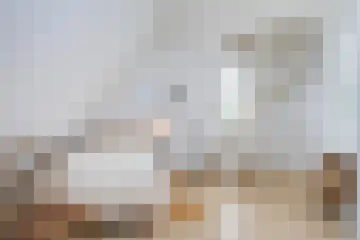 Smientmesschen 10 Assen thumbnail 38