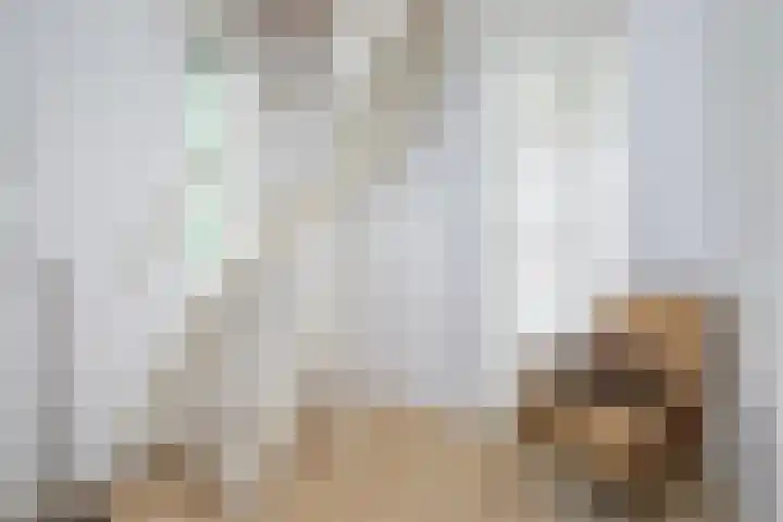 Smientmesschen 10 Assen thumbnail 39