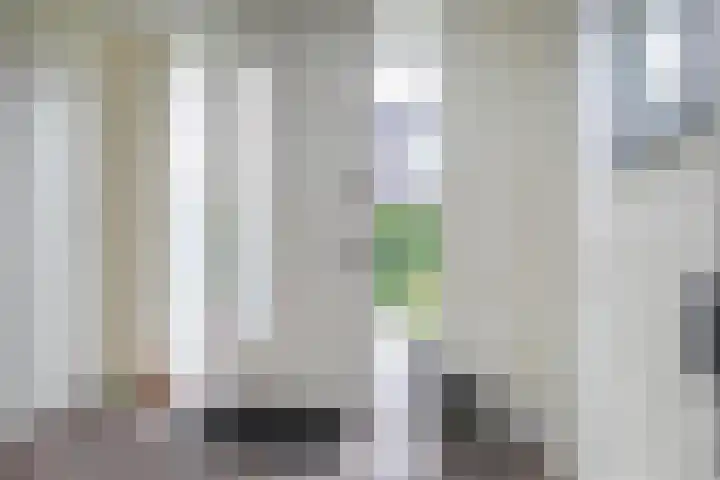 Smientmesschen 10 Assen thumbnail 4