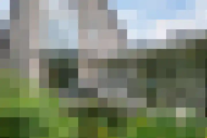 Smientmesschen 10 Assen thumbnail 41