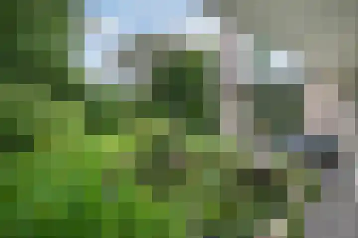 Smientmesschen 10 Assen thumbnail 43
