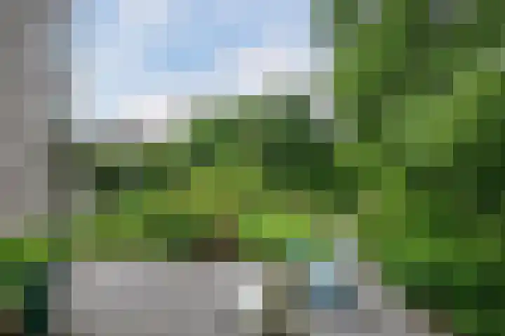 Smientmesschen 10 Assen thumbnail 45