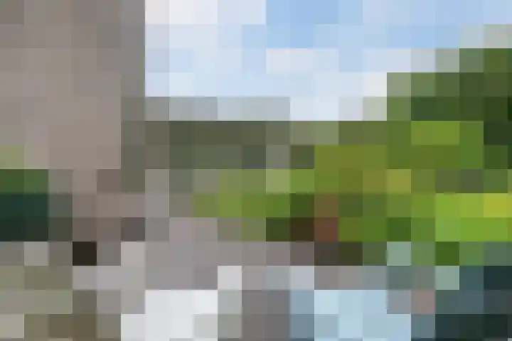 Smientmesschen 10 Assen thumbnail 46