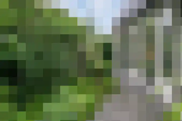 Smientmesschen 10 Assen thumbnail 47