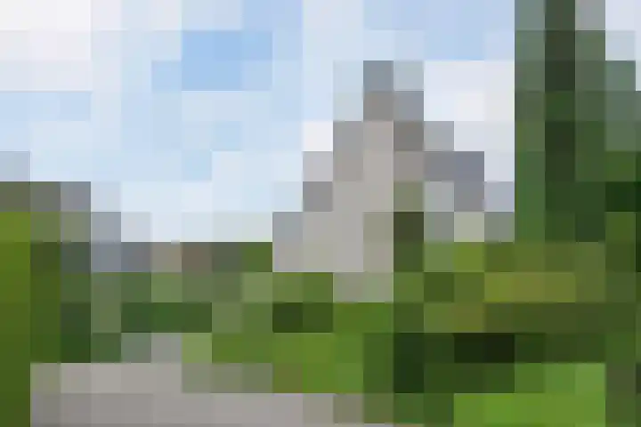 Smientmesschen 10 Assen thumbnail 50