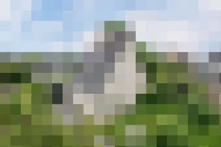 Smientmesschen 10 Assen thumbnail 51