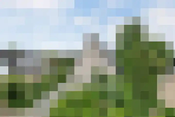 Smientmesschen 10 Assen thumbnail 52