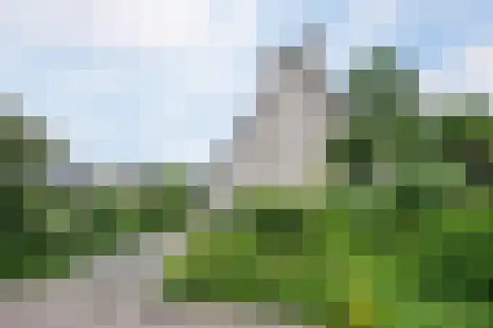 Smientmesschen 10 Assen thumbnail 53