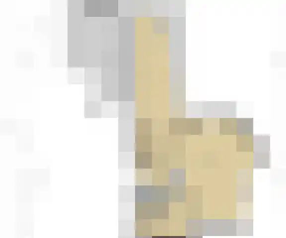 Smientmesschen 10 Assen thumbnail 54