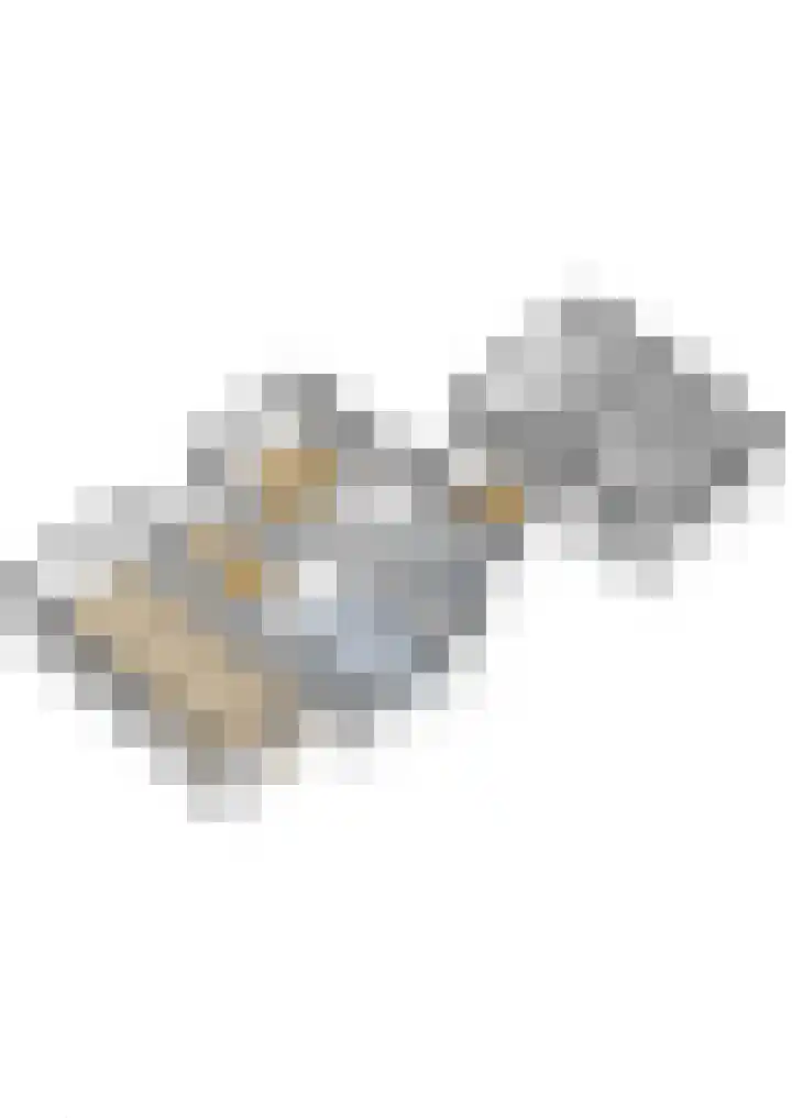 Smientmesschen 10 Assen thumbnail 55