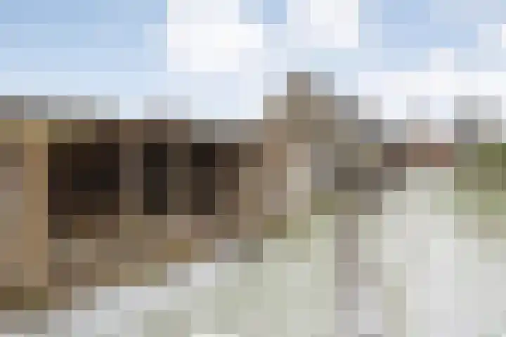 Smientmesschen 10 Assen thumbnail 57