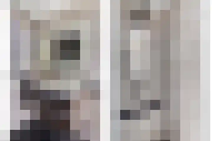 Smientmesschen 10 Assen thumbnail 7