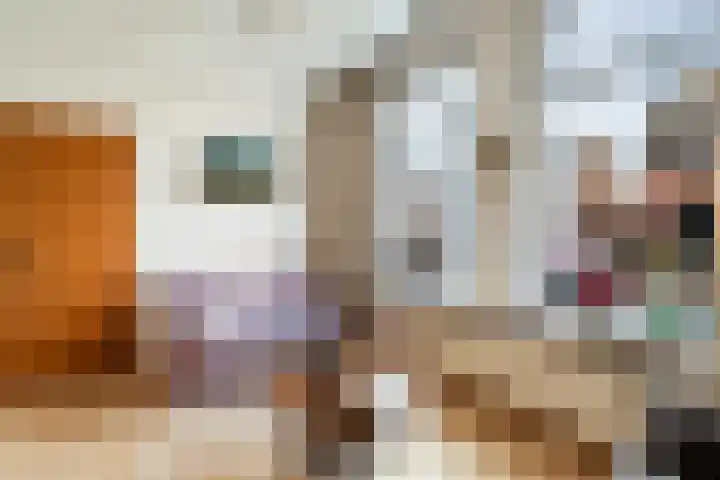 Smientmesschen 10 Assen thumbnail 8