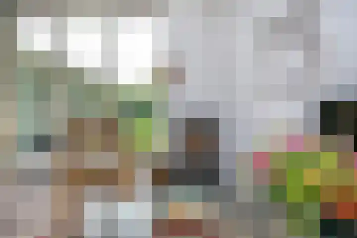 Smientmesschen 10 Assen thumbnail 8