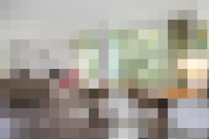 Smientmesschen 10 Assen thumbnail 9