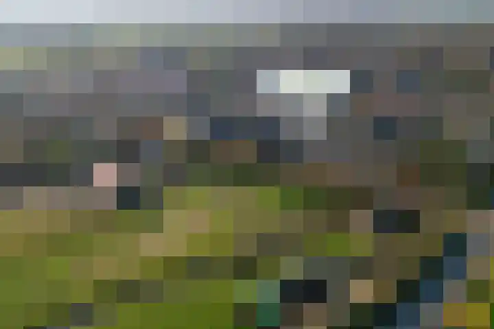 Smithilseweg 4 d Hellevoetsluis thumbnail 44