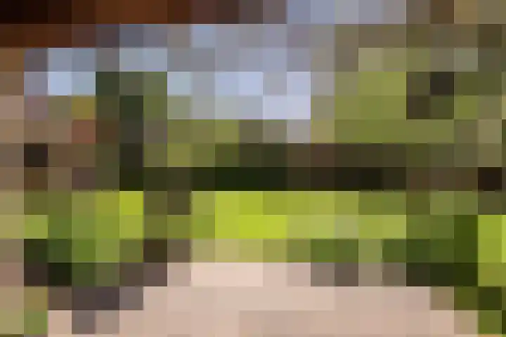 Smithstraat 48 Nunspeet thumbnail 32