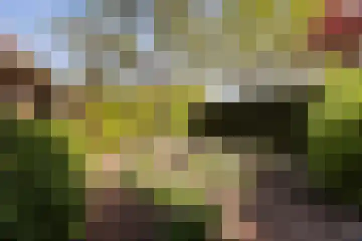 Smithstraat 48 Nunspeet thumbnail 38