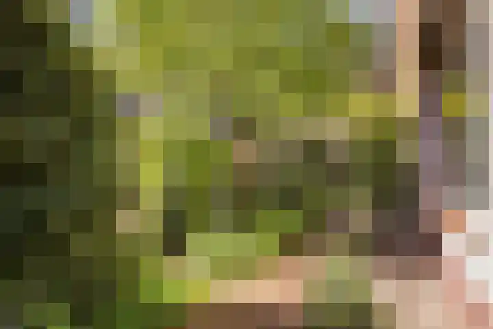 Smithstraat 48 Nunspeet thumbnail 39