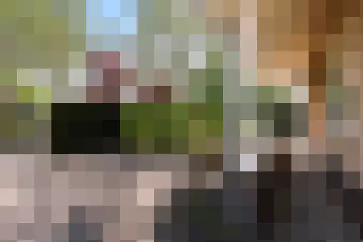 Smithstraat 48 Nunspeet thumbnail 4