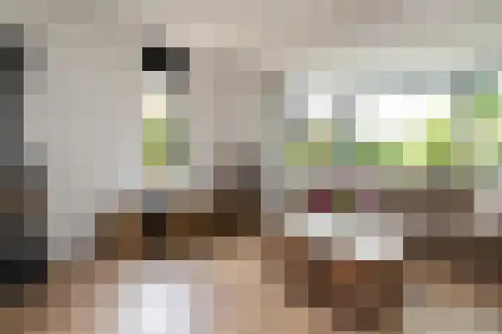 Smithstraat 6 Nunspeet thumbnail 14
