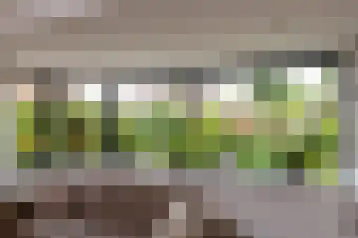 Smithstraat 6 Nunspeet thumbnail 15