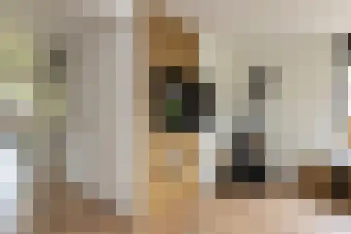 Smithstraat 6 Nunspeet thumbnail 16