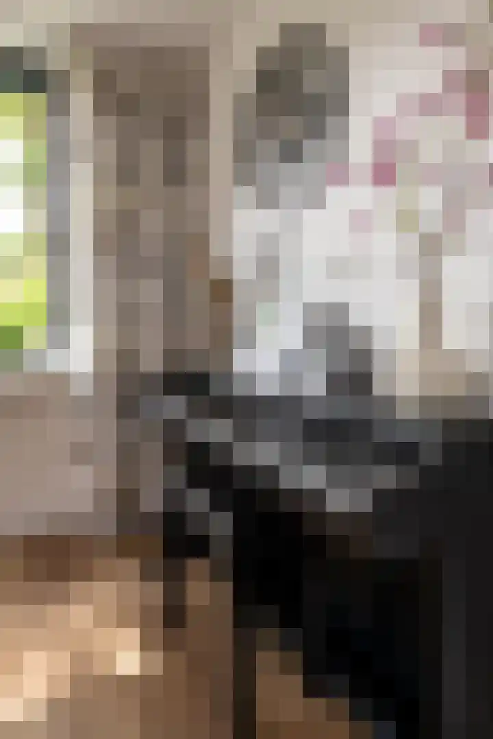 Smithstraat 6 Nunspeet thumbnail 19